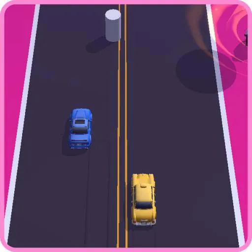 Dual Control Racing Stunt 3D