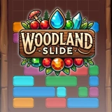 Woodland Slide